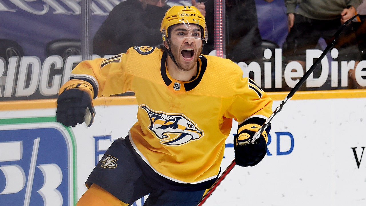 Predators down Hurricanes 3-1 to clinch playoff berth