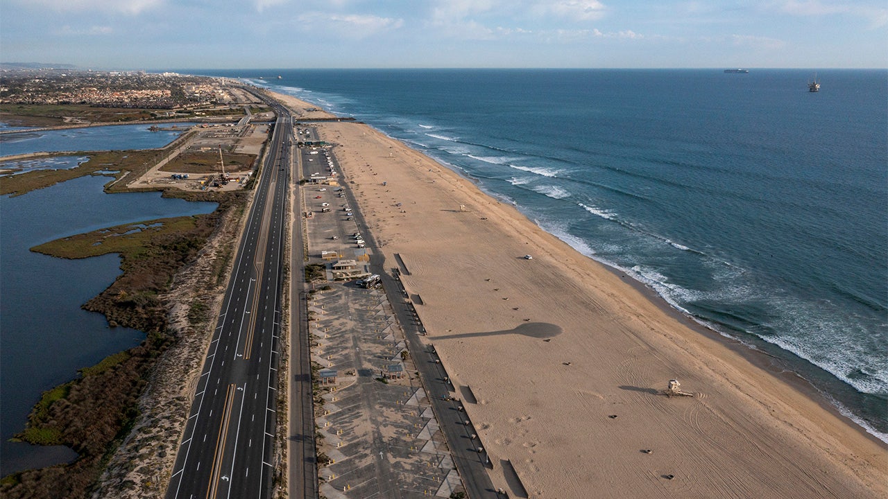 Dead whale washes up on California beach, draws crowd of spectators