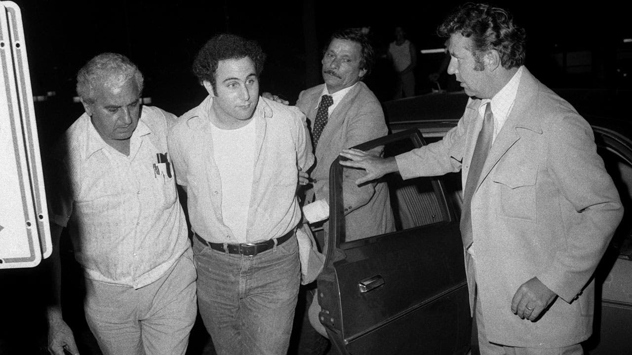'Sons of Sam' docuseries chronicles reporter's quest for truth behind NYC's most notorious murder - Fox News