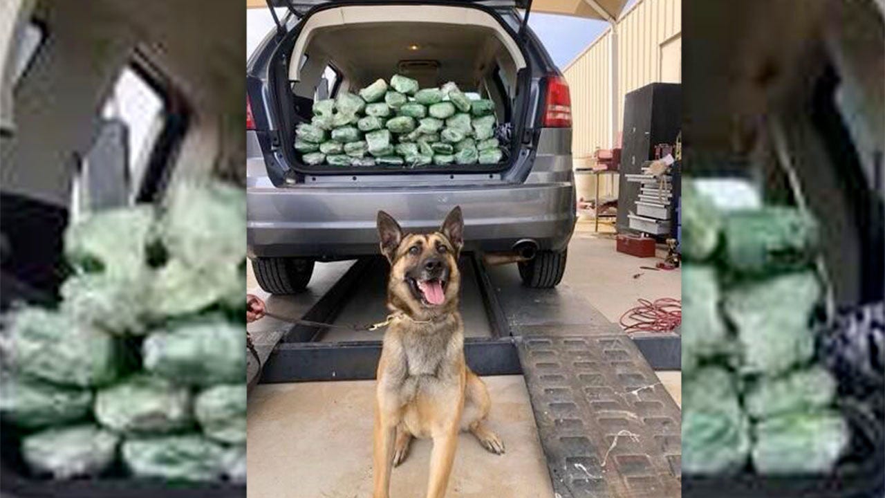 Border Patrol K-9 team finds 67 lbs of meth at immigration checkpoint