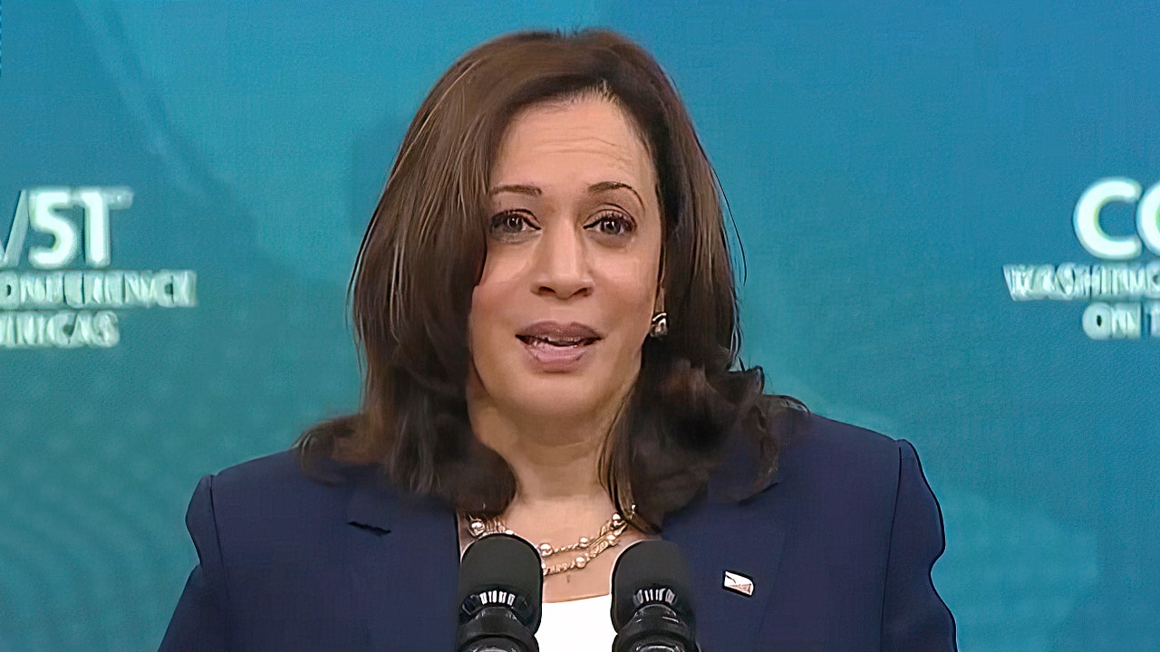 MSNBC guest claims 'off the charts' criticism of VP Harris on border from left and right is sexist and racist