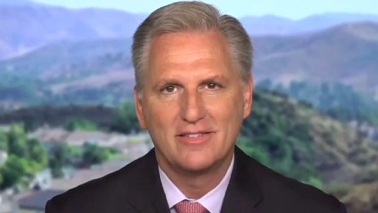 House Minority Leader Kevin McCarthy slams Dems for 'destroying' the country