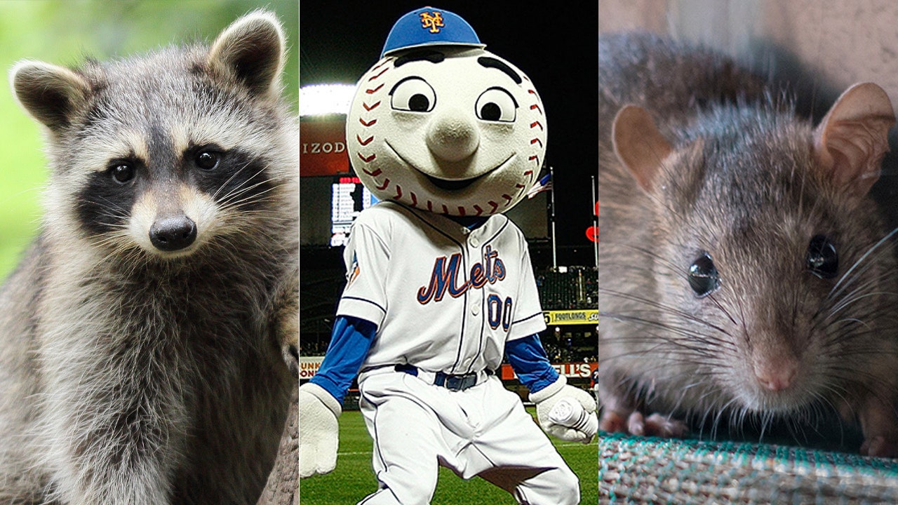 Mets move on from Francisco Lindor, Jeff McNeil rat vs. raccoon debate