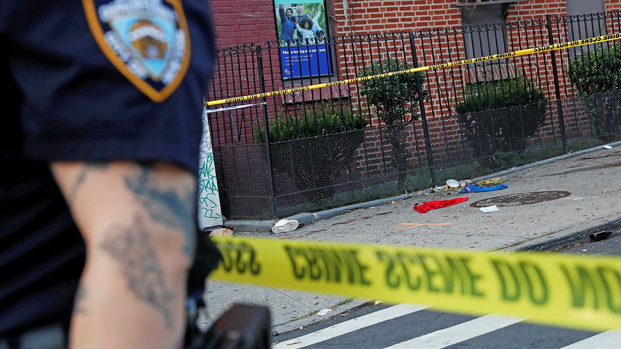 En Nueva York Van A Pagar 1 000 Dolares Mensuales A Los Criminales Para   NYC Shootings 