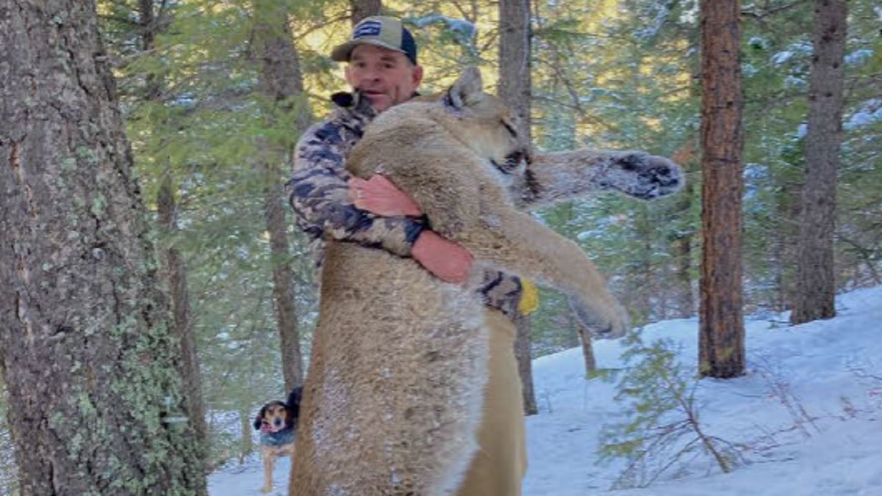 Capitol riot suspect on house arrest after allegedly killing mountain lion