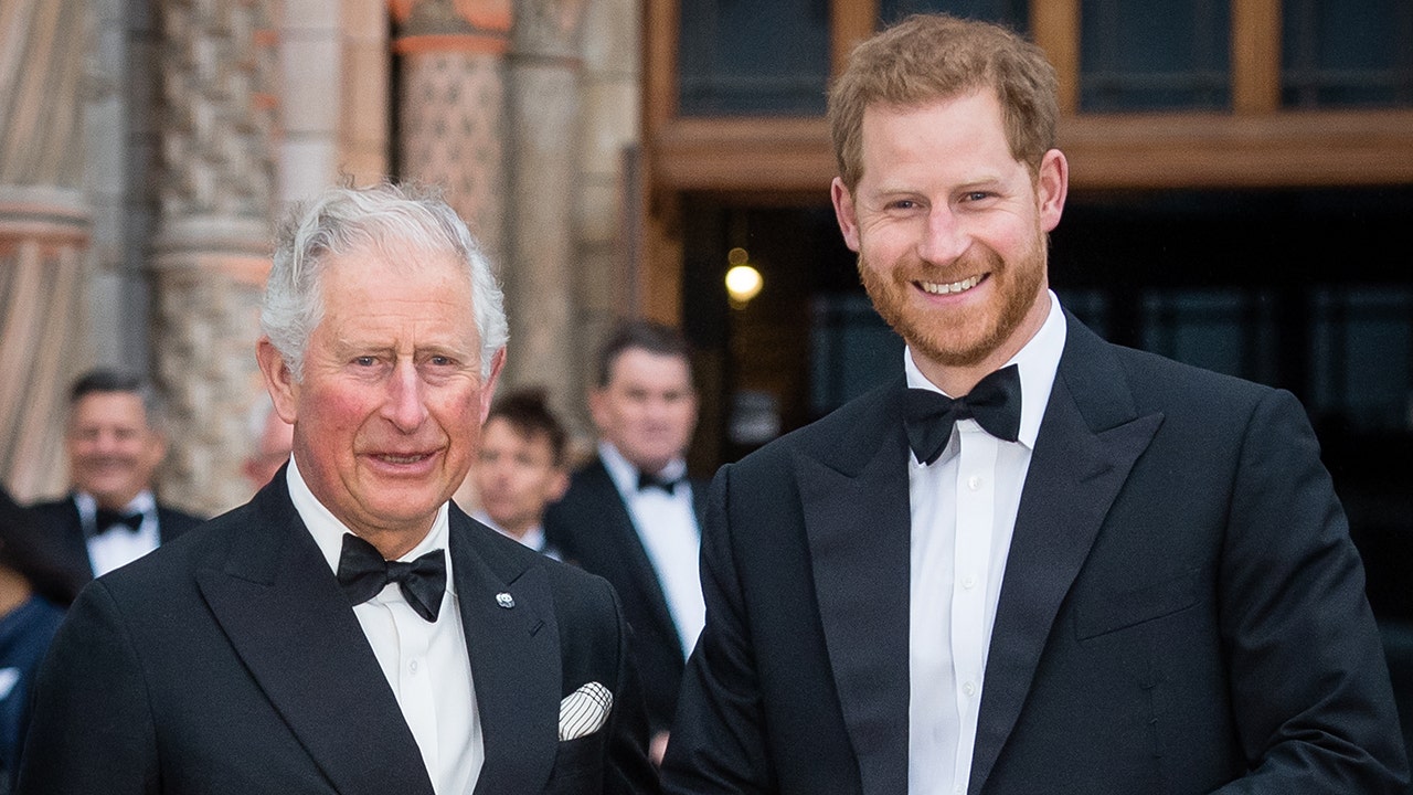 Prince Harry says he was put through 'pain and suffering' by his father Prince Charles
