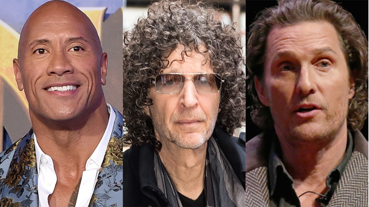 Howard Stern warns Dwayne 'The Rock' Johnson, Matthew McConaughey against starting political careers