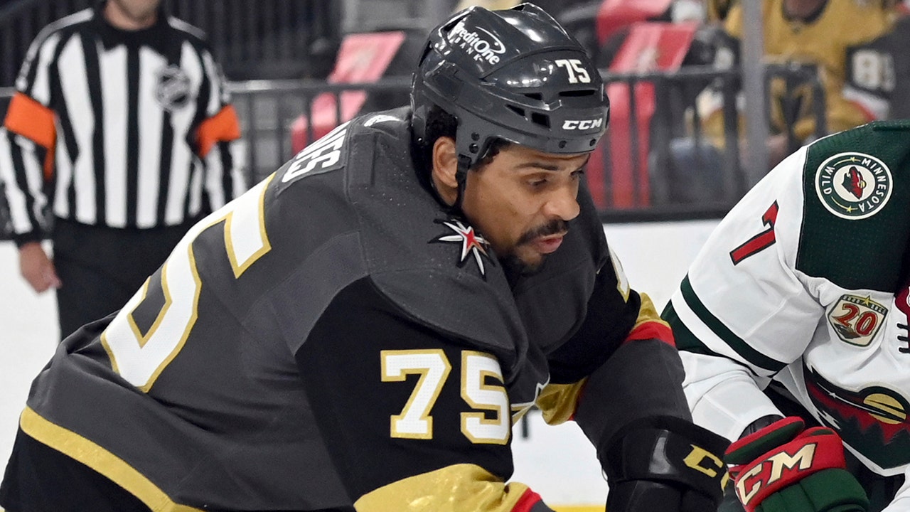 Vegas Golden Knights: Ryan Reaves really can do it all