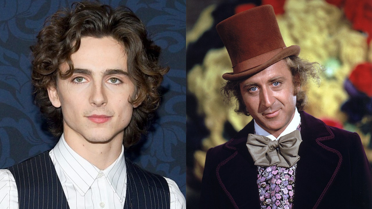 Timothée Chalamet to play young Willy Wonka in Warner Bros. movie
