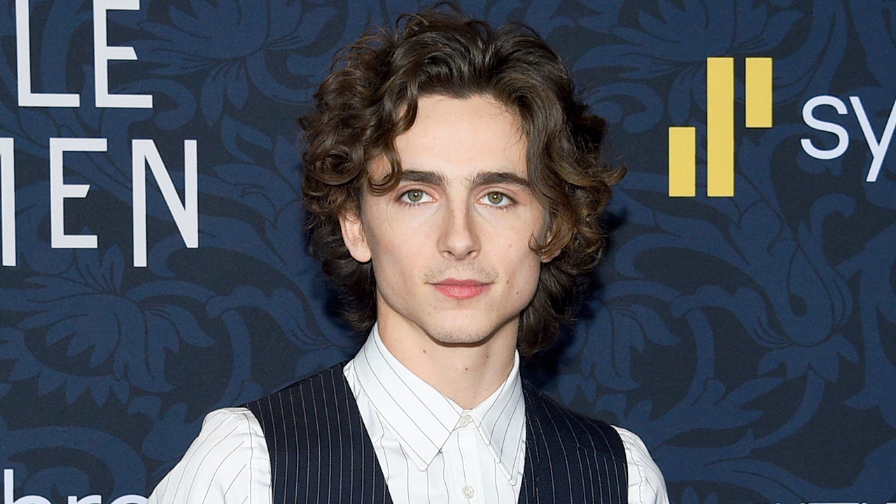 Timothee Chalamet debuts Willy Wonka costume for upcoming prequel film: 'The suspense is terrible'