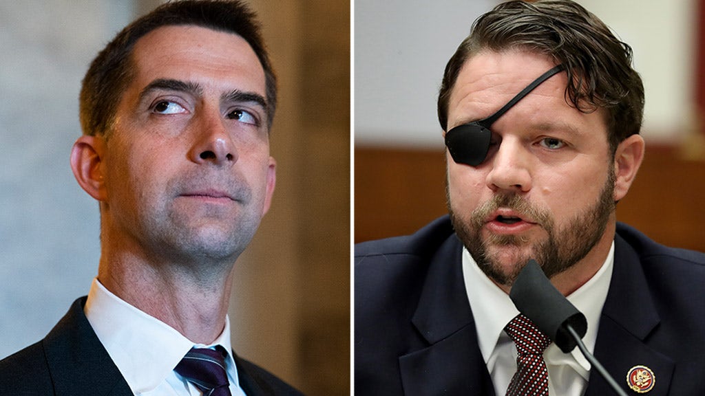 Rep. Crenshaw launches military whistleblower form with Sen. Cotton so it won't 'fall to woke idealogy'