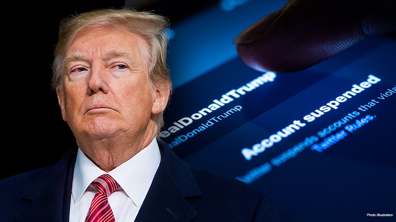 New York Times columnist: Dems ‘desperate’ for Trump to return to Twitter so their base will vote