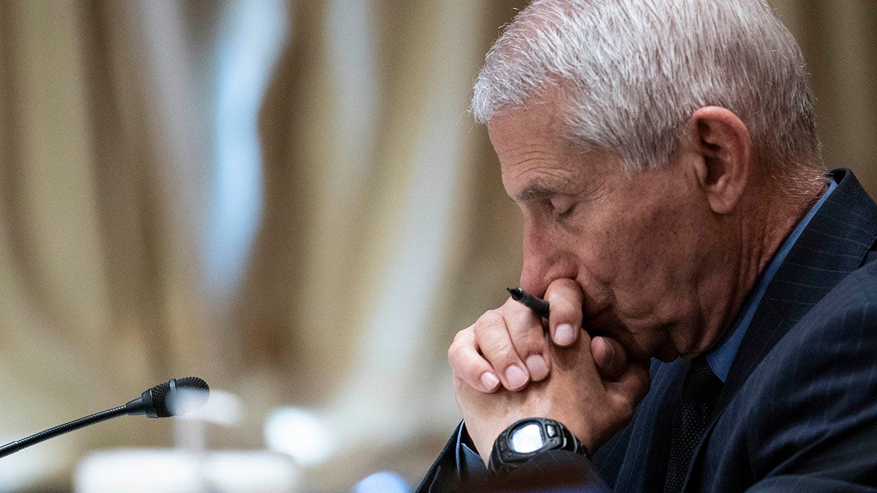 Fauci blames 'ideological rigidity' for political divide in vaccination debate: 'I just don't get it'