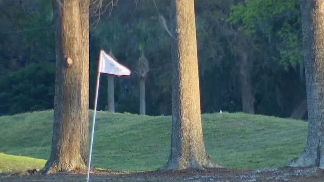 Jimmy Hoffa buried at Georgia golf course once popular with Mafia bosses, defense lawyer claims