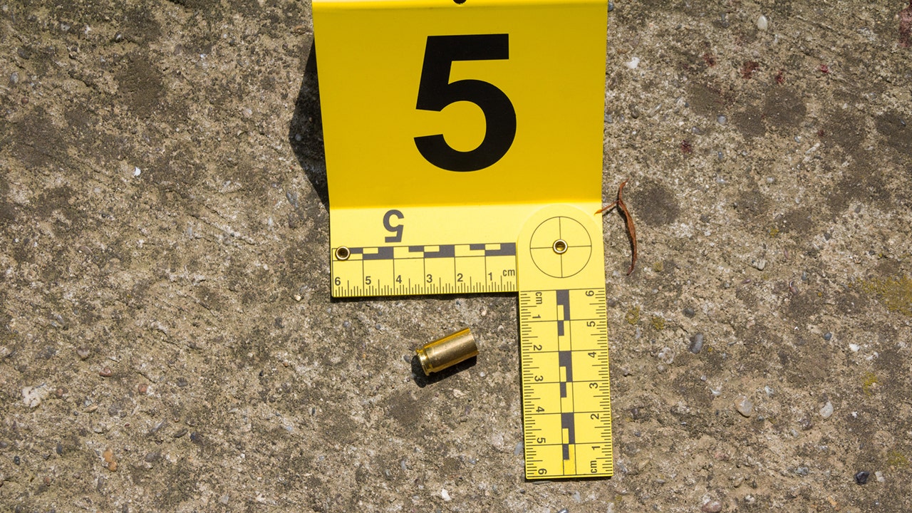 Spent shell casings collected from the ground after a police