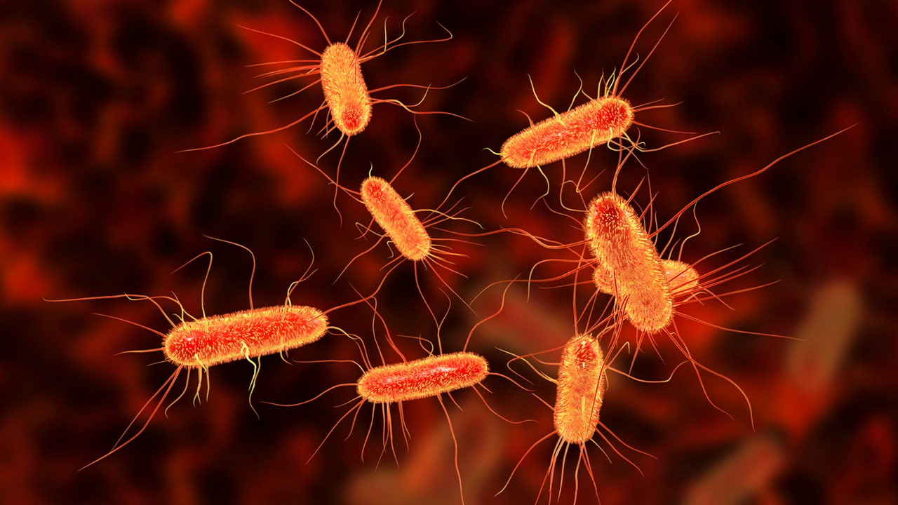 E. coli sends 6 children to hospital in Washington state