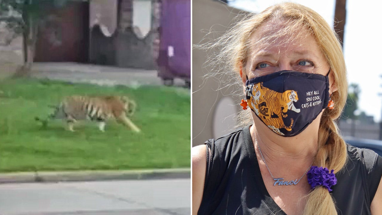 Carole Baskin offering $5,000 reward for info leading to missing tiger in Texas