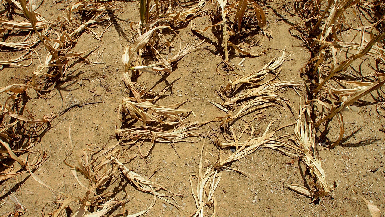 More than 90% of West threatened by historic drought that may stretch through summer