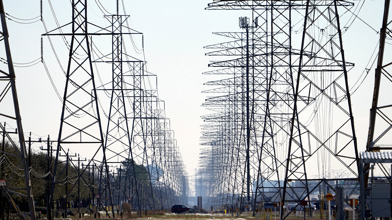 Texas power grid operator urges residents to conserve energy as plants go offline