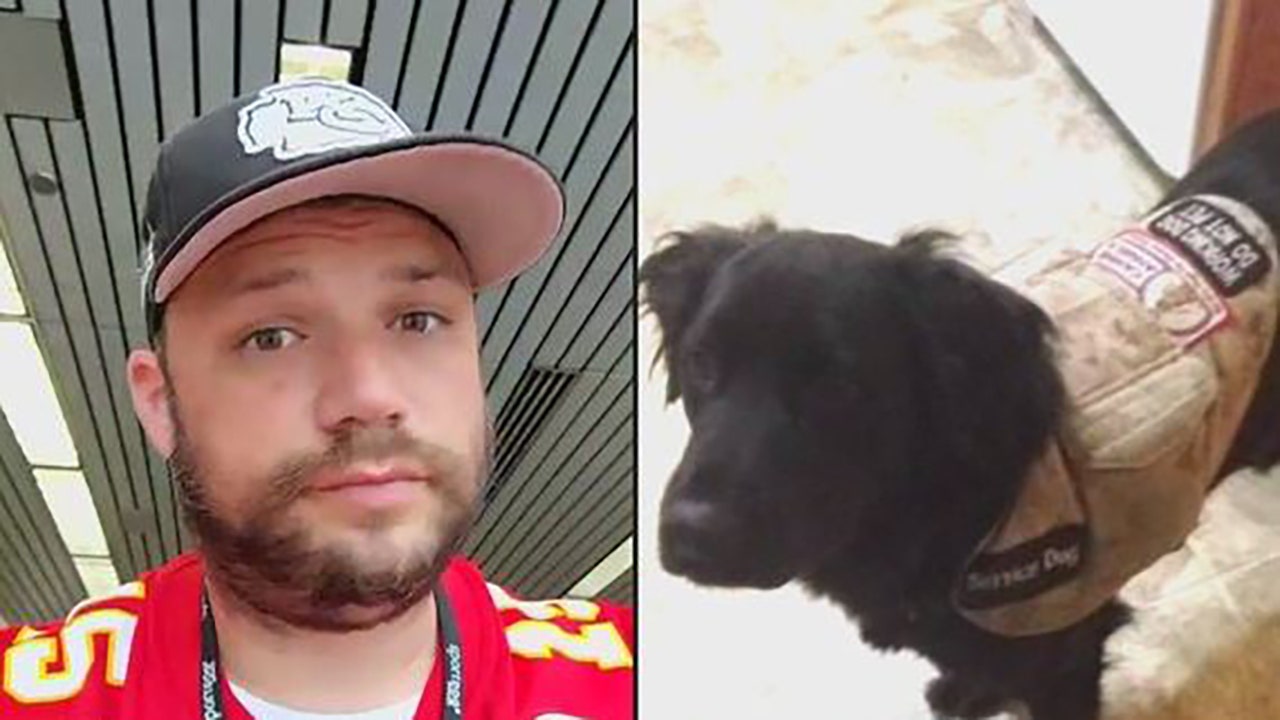 Disabled Marine Corps veteran says he was kicked off Chicago flight because of service dog: report