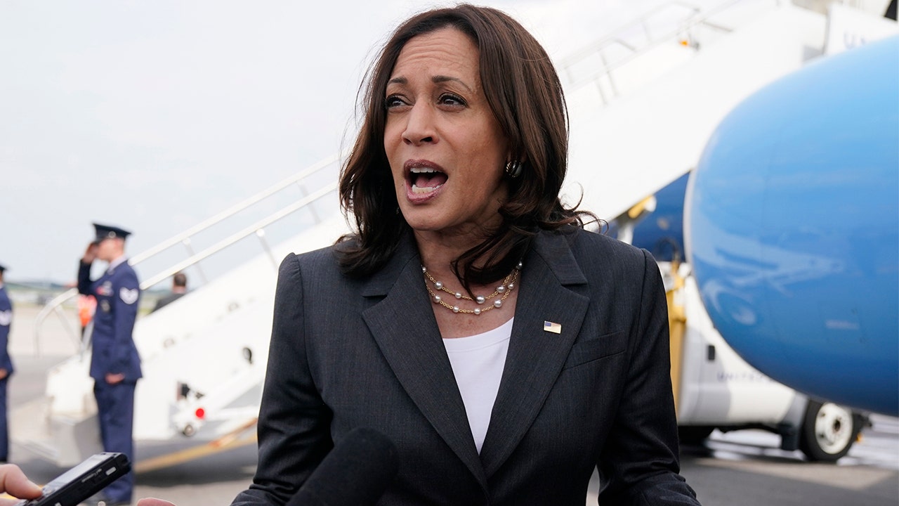 Texas Congressman Gonzales reacts to Harris visiting border in El Paso: 'Now what?'