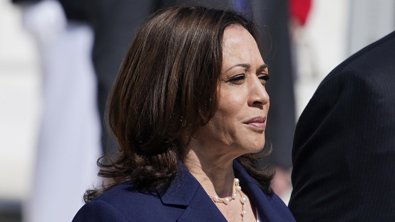 Vice President Kamala Harris finally visits border after months of criticism, experts ponder her true motive