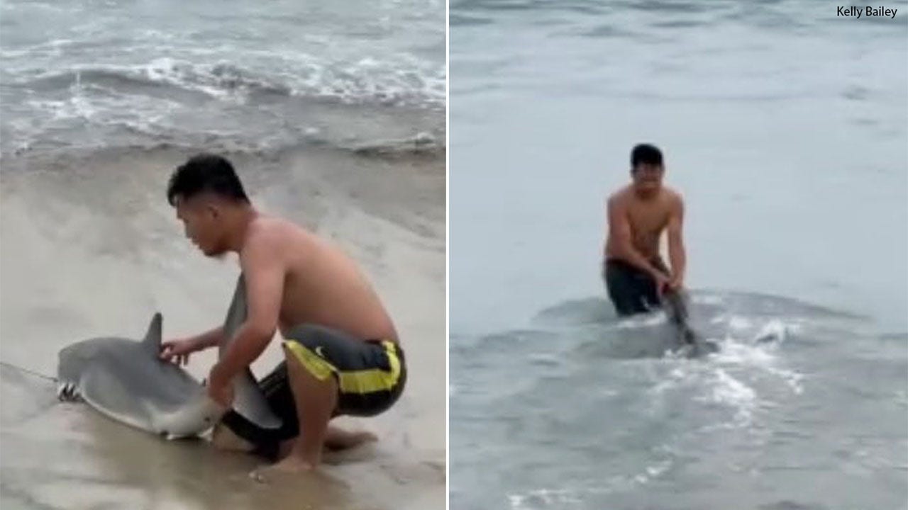 Man rescues great white shark after it gets caught in fishing line at California beach