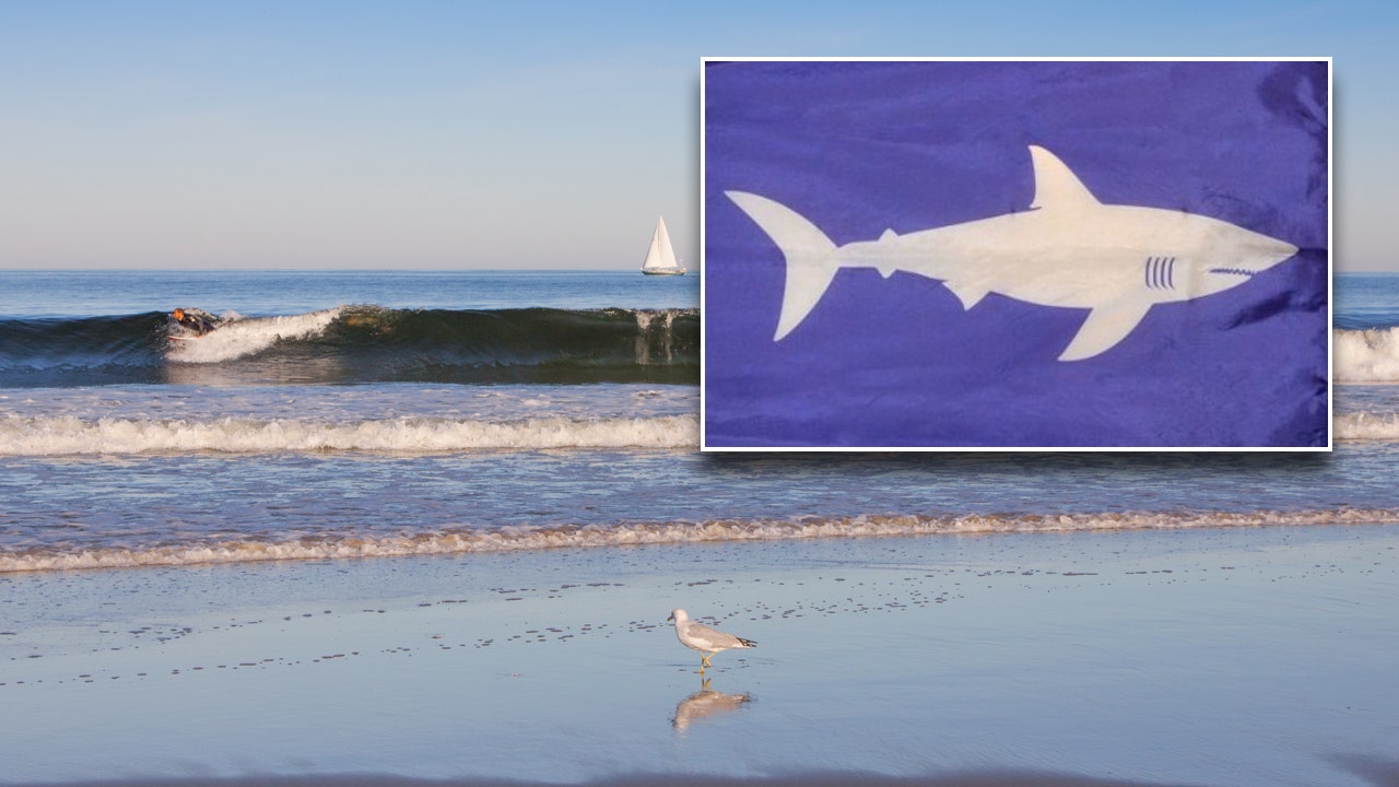 Maine beaches to hoist shark warning flags commonly used in Massachusetts