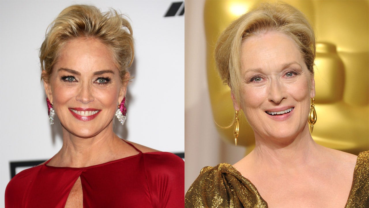 Sharon Stone slammed Meryl Streep's icon status in resurfaced interview: Others 'equally as talented'