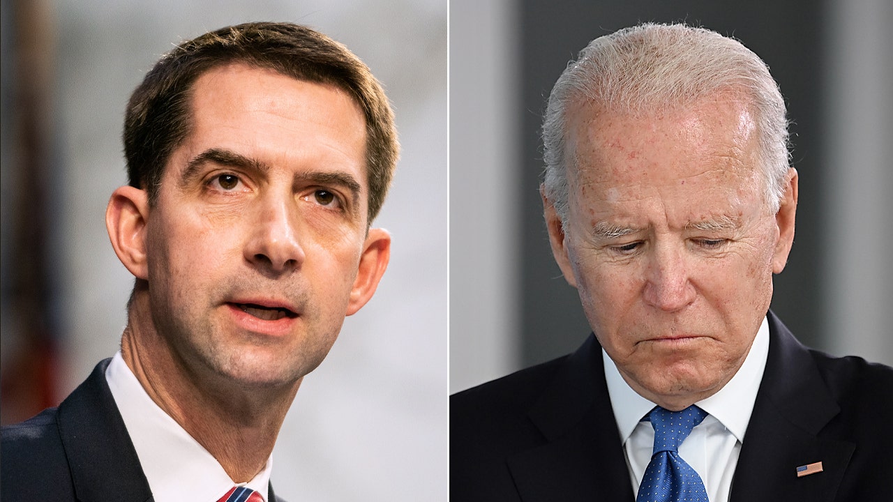 Cotton sides with Biden on granting immunity to Saudi crown prince
