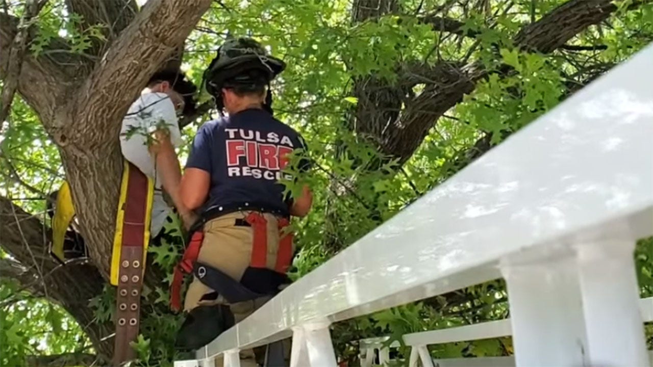 Cat owner gets stuck in tree trying to rescue pet in Oklahoma