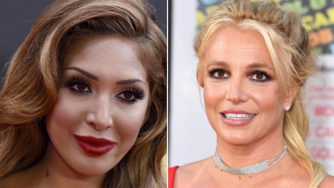 Farrah Abraham condemns Britney Spears' past mistreatment as young mom in public eye: 'She was targeted'