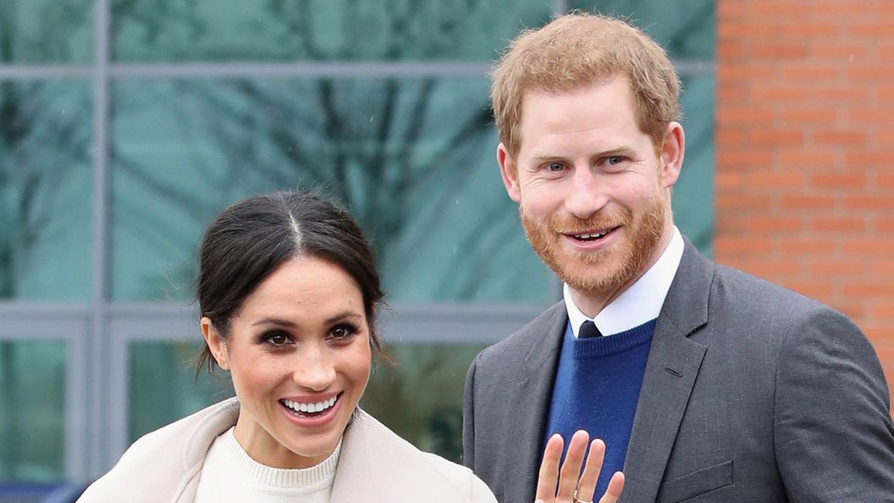 Prince Harry, Meghan Markle rescue abused beagle mama: 'She knew it was her people'