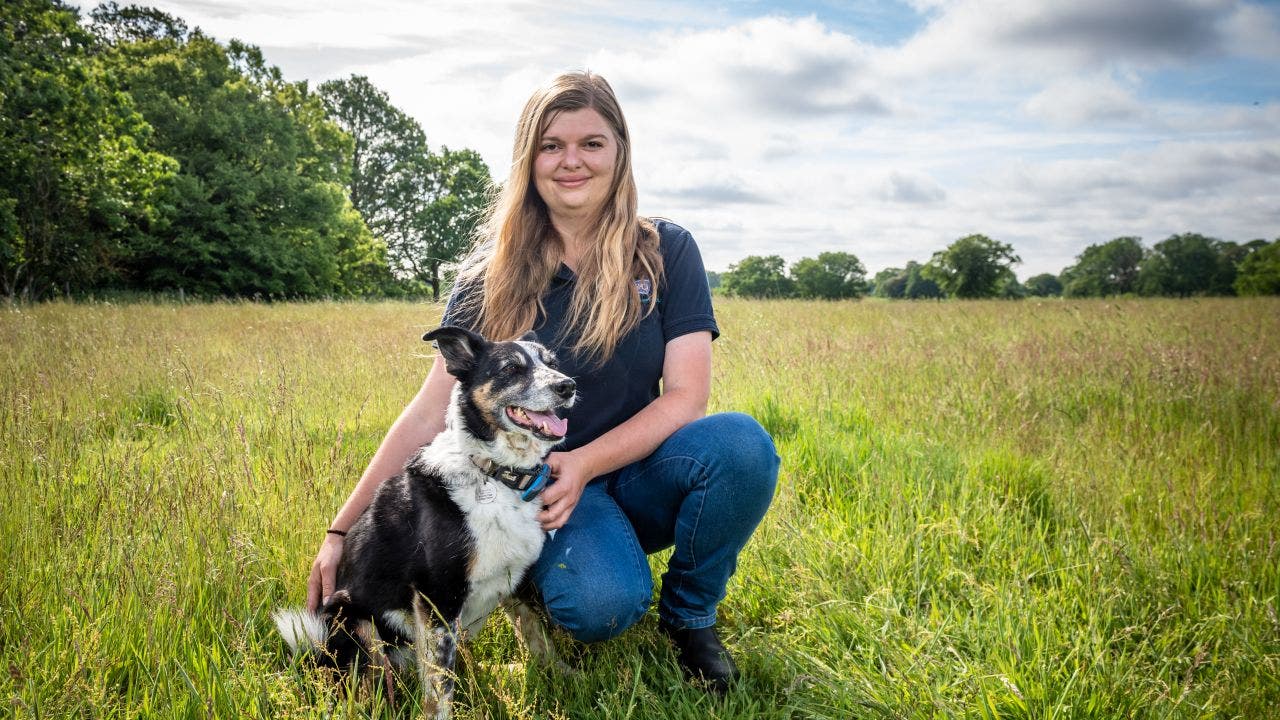 Deaf sheepdog learns sign language to round up sheep