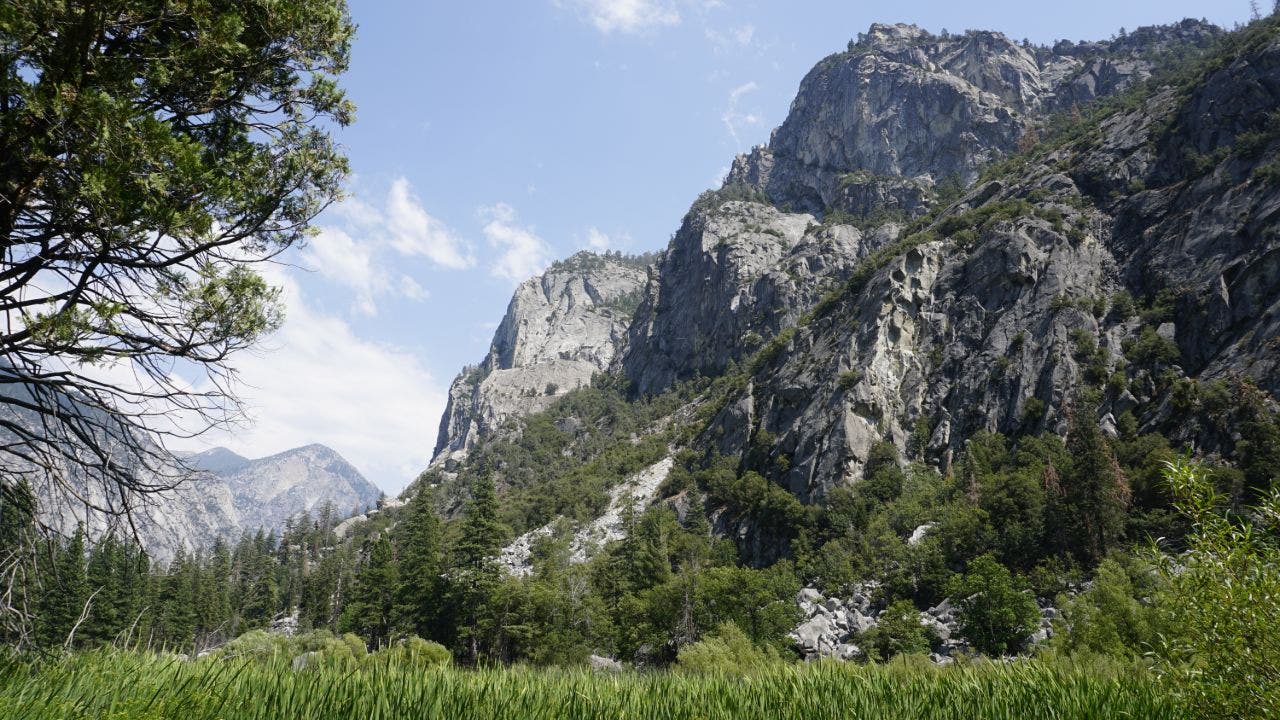 California hiker dies after falling 500 feet at Sequoia National Park