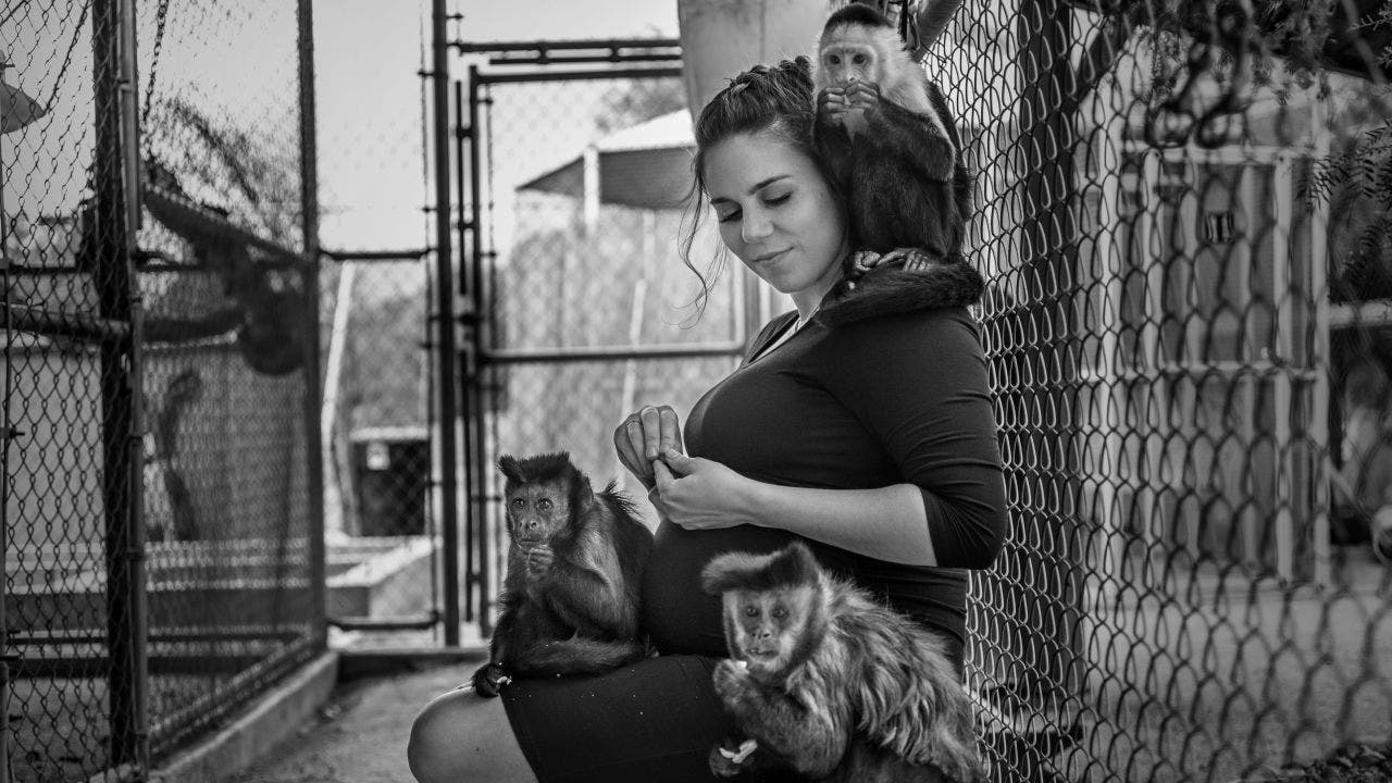 Mom shares spotlight with exotic animals in maternity photo shoot