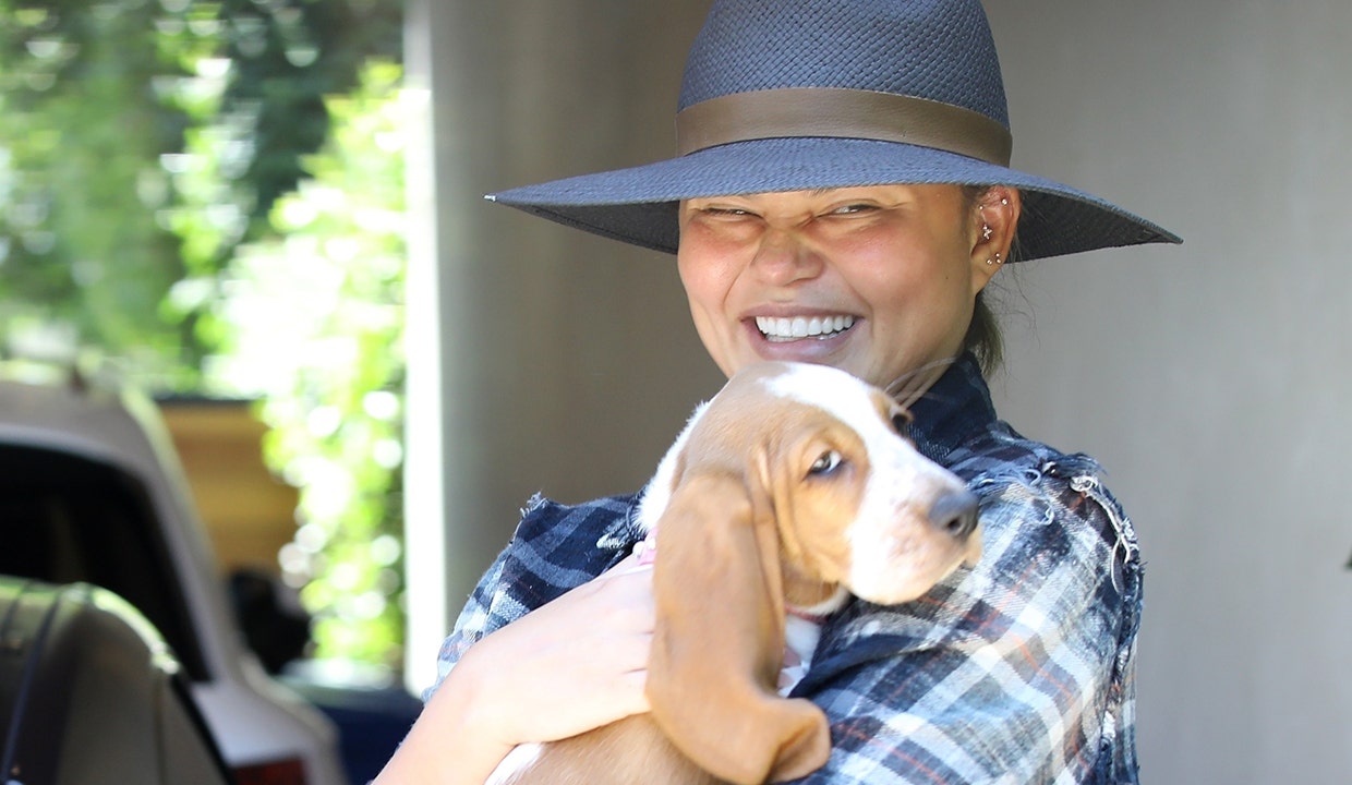 Chrissy Teigen steps out in public with new basset hound puppy after death of dog Pippa