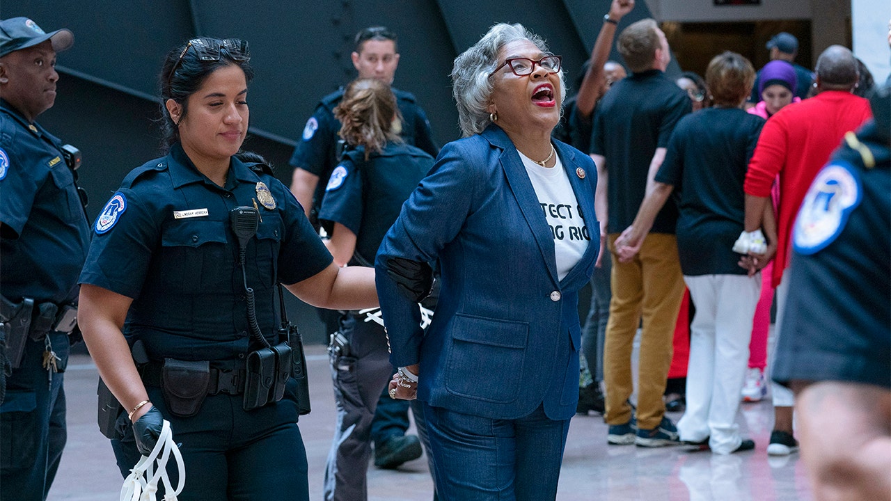 US Capitol Police arrest Rep. Joyce Beatty during voting rights protest in Hart Senate Office Building