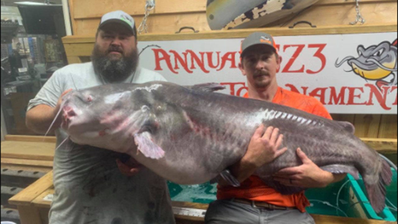 Record-breaking fish caught in North Carolina: 'Looked like a whale in the back of the boat'