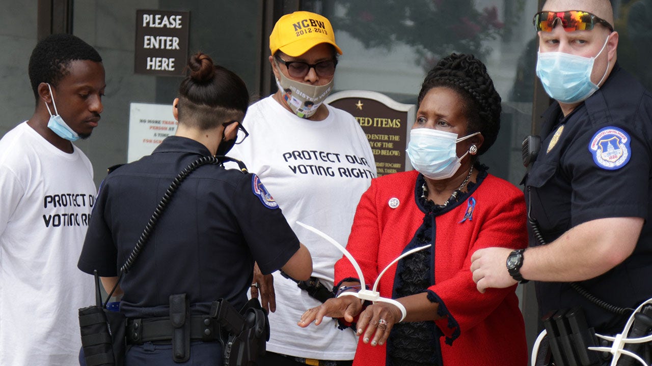 Rep. Sheila Jackson Lee, Texas Democrat, arrested during DC protest