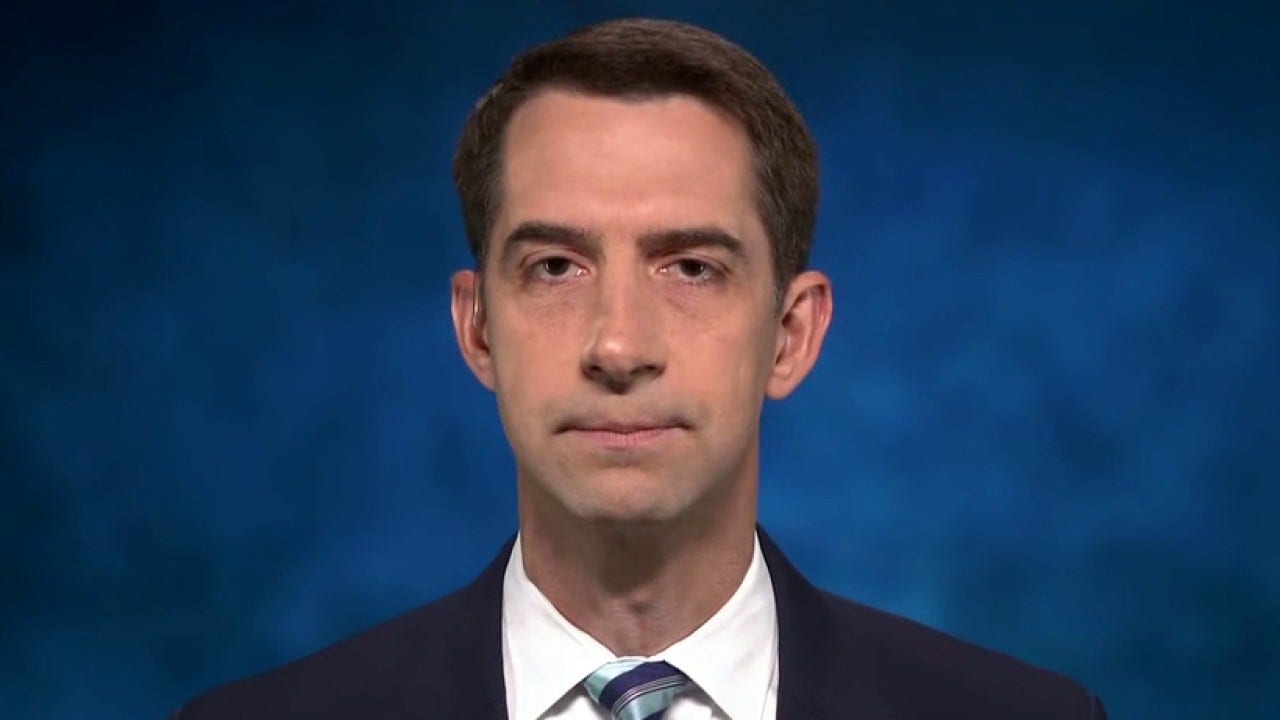 Cotton calls on Biden to 'publicly condemn critical race theory' after admin promotes radical group