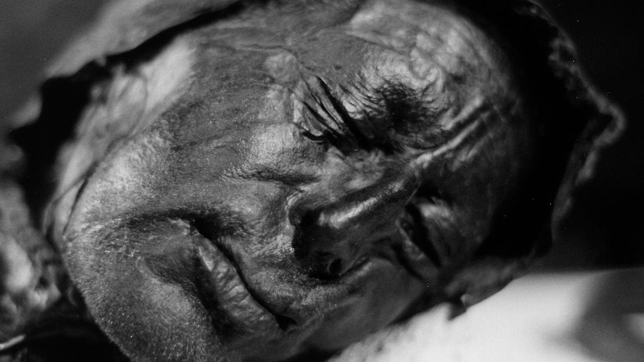 Pelkėje išsaugotoje geležies amžiaus mumijoje vis dar yra nesuvirškintas paskutinis valgis