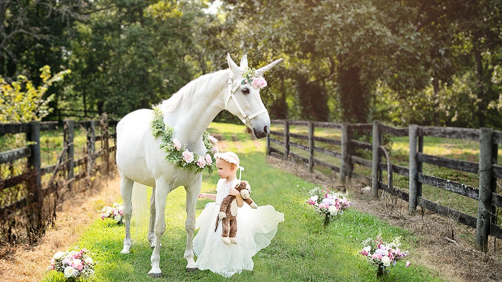 3-year-old girl fighting brain cancer gets dream visit with magical ‘unicorn’