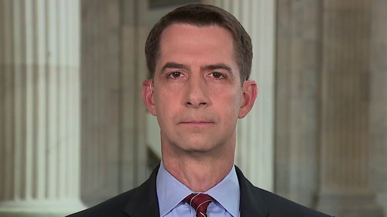 Sen. Cotton has 'real doubts' about US Navy's ability to defeat China in battle