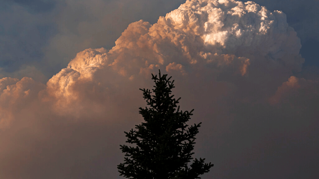 The Bootleg Fire smoke plume grows over a single tree on Monday, July, 12, 2021 near Bly, Ore. An army of firefighters is working in hot, dry and windy weather to contain fires chewing through wilderness and burning homes across drought-stricken Western states. A high-pressure system that created the second intense heat wave of the year is weakening Tuesday, but temperatures are forecast to remain above normal on the lines of more than 60 active large fires. 