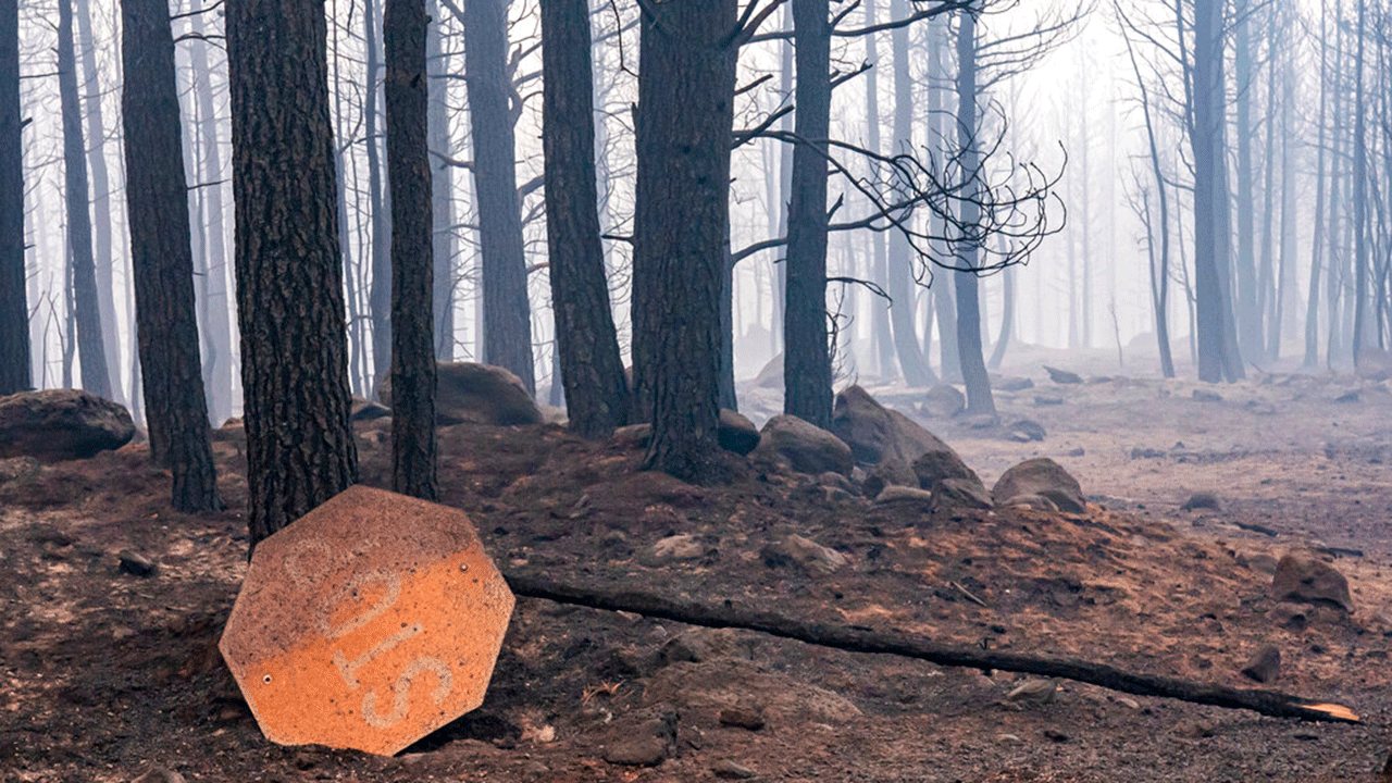 A sign damaged by the Bootleg Fire lies on the ground on Thursday, July 22, 2021, near Paisley, Ore. 