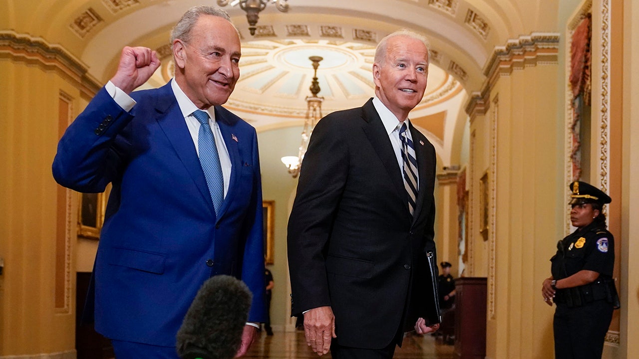 Schumer silent as worries over Biden’s fitness swell in Senate