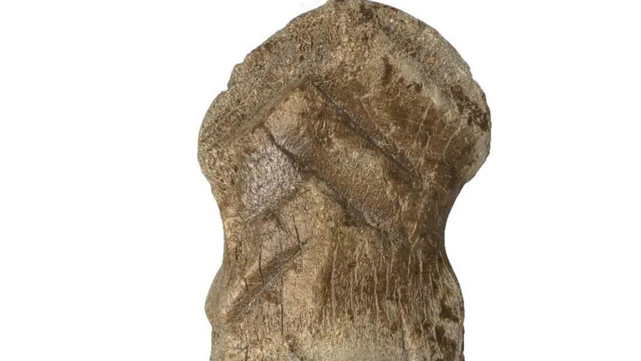 On pense que les os de cerf préhistoriques sont parmi les plus anciennes œuvres d’art au monde