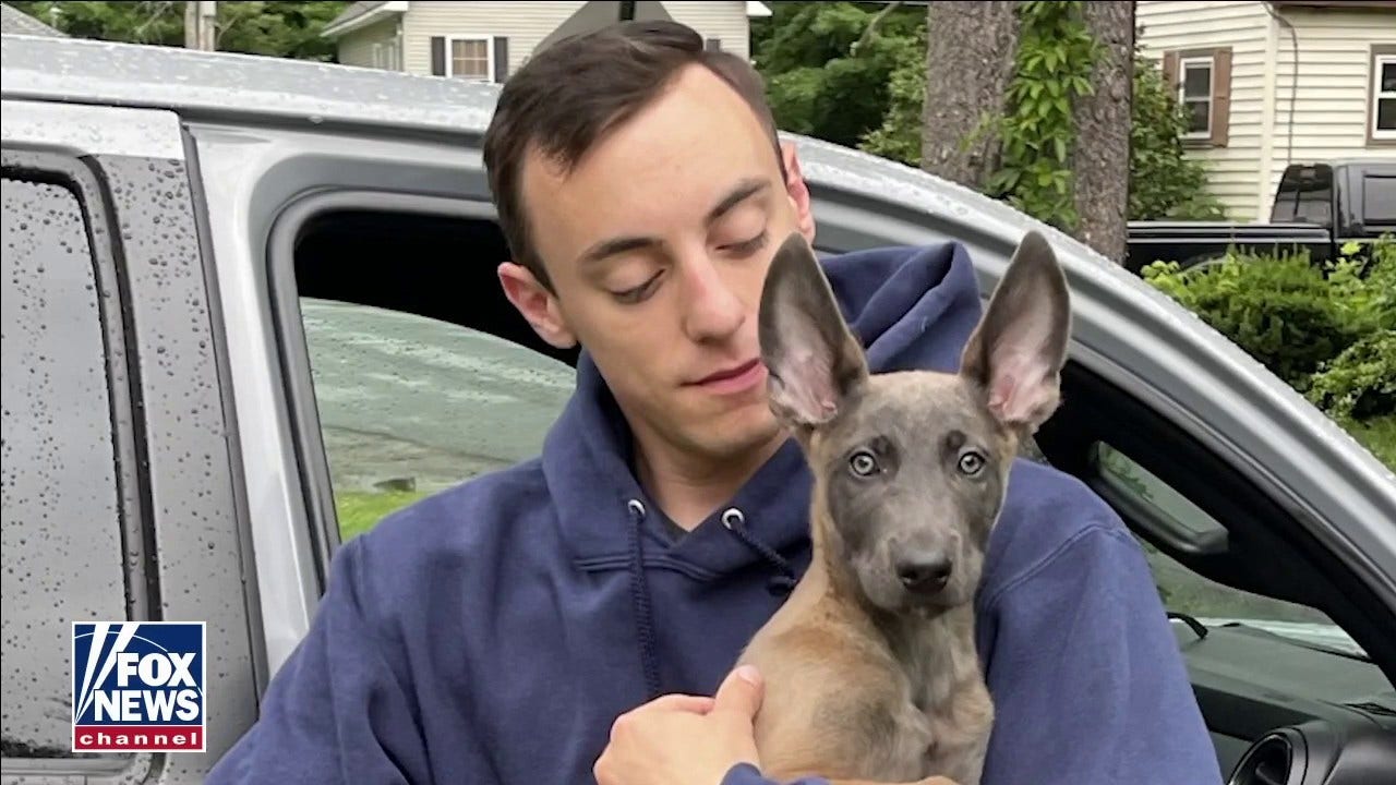 NYPD first responder receives service dog at Citi Field