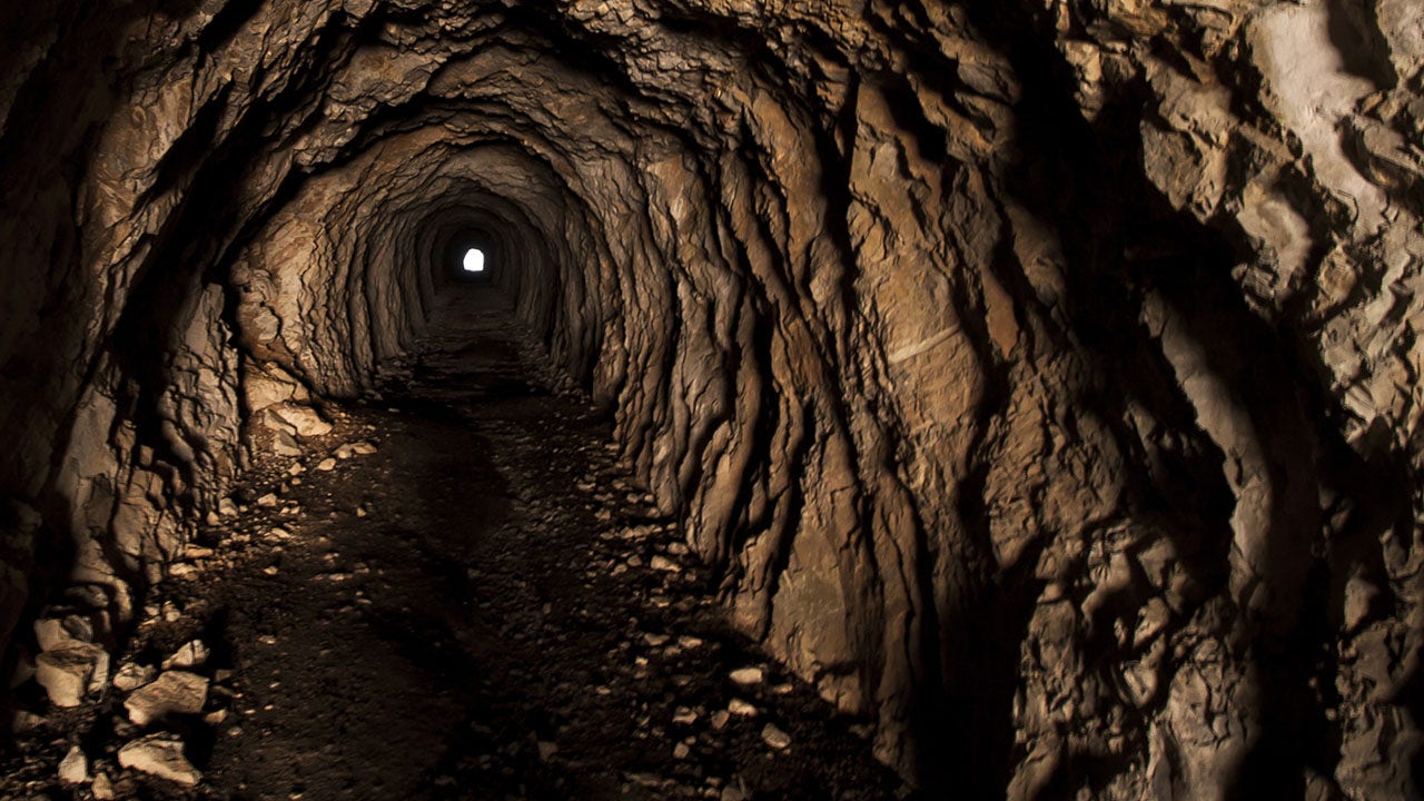 Mysterious, bat-filled tunnels found under newly bought house